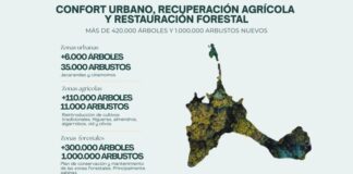Baleària y Nature & People Foundation comparten el proyecto de plantación de 2.500 árboles en Formentera para empezar a mejorar la sostenibilidad de la isla Proyecto Living Formentera