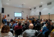 El Consell d’Entitats avala el mantenimiento del techo de vehículos para la próxima temporada