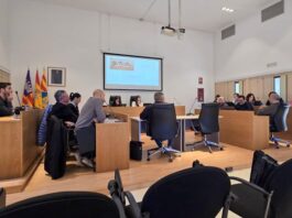 Segunda sectorial de movilidad para definir el futuro del Formentera.eco