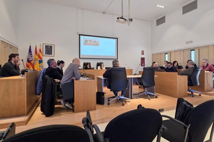 Sectorial de movilidad celebrada esta mañana en Formentera