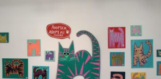 Los gatos protagonizan la nueva exposición en la sala «Ajuntament Vell» expo Acción Francisco