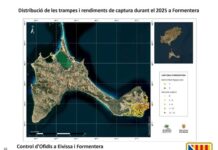 Superadas las 4.400 capturas de serpientes invasoras en las Pitiusas en 2025 Control de ofidios