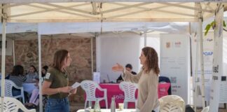 La V Fira d’Ocupació i Emprenedoria de Formentera reuneix prop de 170 ofertes de feina en una jornada de contacte directe amb els sectors productius V Fira d'Ocupació de Formentera