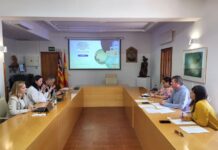 El Govern presenta la Unidad Aceleradora de Proyectos Estratégicos en el Consell de Formentera