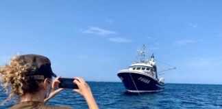 La protección de la posidonia se refuerza con veinte embarcaciones de vigilancia operativas en las cuatro islas Agentes de Medioambiente en las tareas de vigilancia