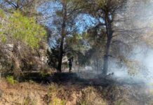 Conato de incendio en un poste eléctrico en Ca Marí