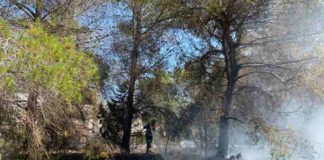 Conato de incendio en un poste eléctrico en Ca Marí