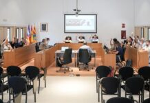 El pleno extraordinario aprueba la propuesta de adaptar la ley electoral a la realidad singular de Formentera