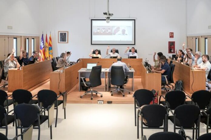 Votación en el pleno extraordinario celebrado esta mañana
