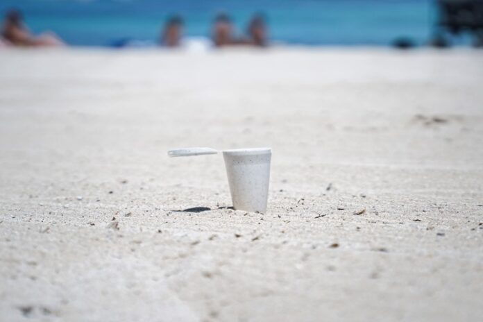 Ceniceros de playa