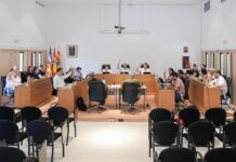 El Pleno del Consell Insular de Formentera reclama al Estado más seguridad marítima y un servicio presencial del SEPE