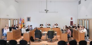 El Pleno del Consell Insular de Formentera reclama al Estado más seguridad marítima y un servicio presencial del SEPE