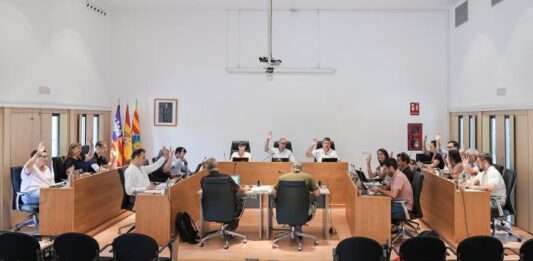 El Pleno del Consell Insular de Formentera reclama al Estado más seguridad marítima y un servicio presencial del SEPE