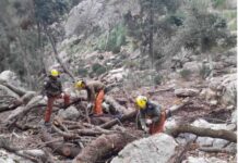 El Consejo de Dirección del FOGAIBA autoriza una ayuda de un millón de euros al IBANAT para seguir reforzando la prevención de incendios forestales