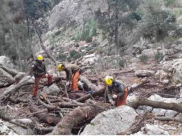 El Consejo de Dirección del FOGAIBA autoriza una ayuda de un millón de euros al IBANAT para seguir reforzando la prevención de incendios forestales