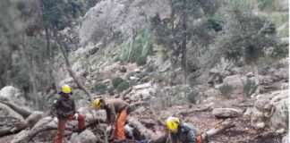 El Consejo de Dirección del FOGAIBA autoriza una ayuda de un millón de euros al IBANAT para seguir reforzando la prevención de incendios forestales