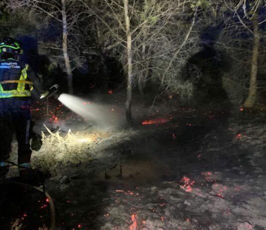 Sofocado un conato de incendio forestal en la zona de es Pujols