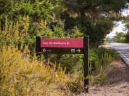 El Consell renueva la señalización de catorce puntos del patrimonio cultural de Formentera