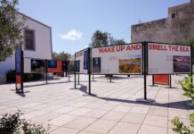 Formentera es submergeix en la mar Balear amb l’arribada de l’exposició “Feim un capfico?” de MARE Expo MARE 2026
