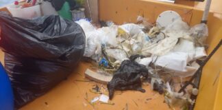 El servicio de limpieza del litoral balear retira más de 5,3 toneladas de residuos durante septiembre Residuos litoral septiembre 2026