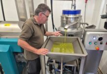 Formentera afronta la primera campaña de elaboración de aceite con una almazara al servicio de los productores de la isla La almazara de Formentera ya se encuentra en pleno funcionamiento