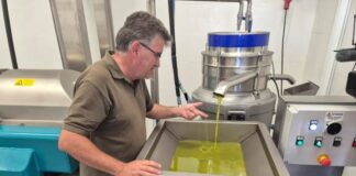 Formentera afronta la primera campaña de elaboración de aceite con una almazara al servicio de los productores de la isla La almazara de Formentera ya se encuentra en pleno funcionamiento