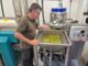 Formentera afronta la primera campaña de elaboración de aceite con una almazara al servicio de los productores de la isla La almazara de Formentera ya se encuentra en pleno funcionamiento